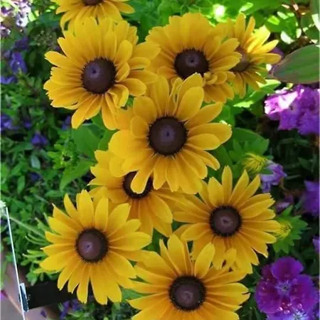 Aparrtment Lägenhet Burgas